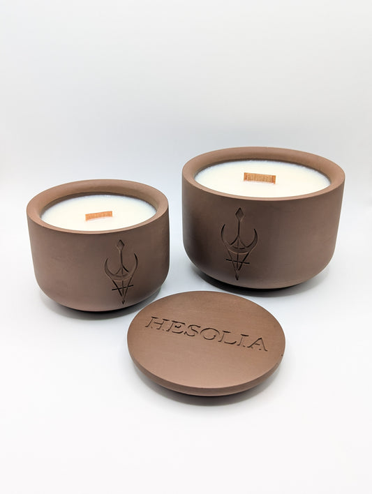 LA BOUGIE ÉCLAT DE NOËL 230g